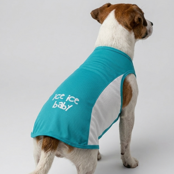 Skatrs Cooling Vest for Dogs (Blue)