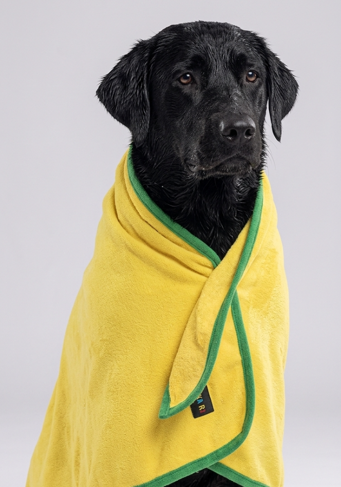 Skatrs Towel for Dogs and Cats (Yellow and Green) Both-Grooming Supplies Skatrs
