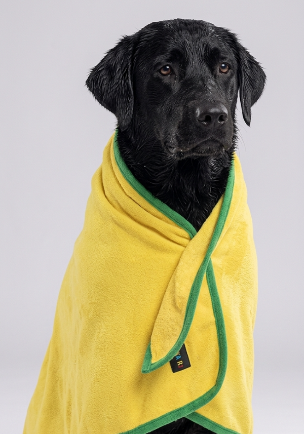 Skatrs Towel for Dogs and Cats (Yellow and Green)