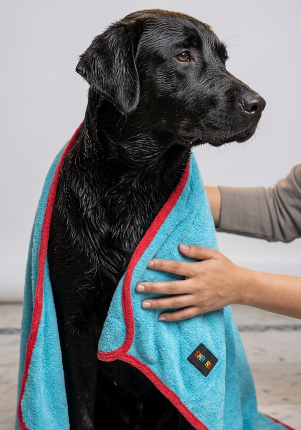 Skatrs Pet towel (Light Blue and Red)