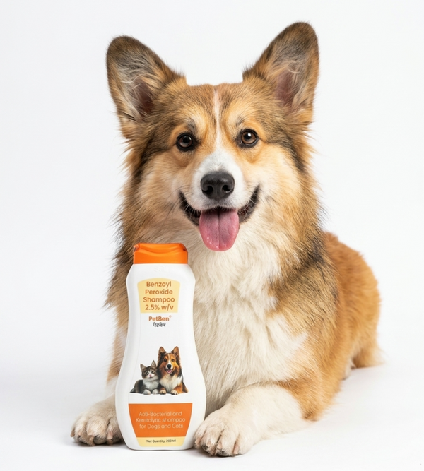 Petcare Petben Benzoyl Peroxide Shampoo 200ml and Virbac Ketochlor Shampoo 200ml for Dogs & Cats Combo