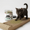 Skatrs Catnip Jar for Cats Rewards Cats-Toys Skatrs