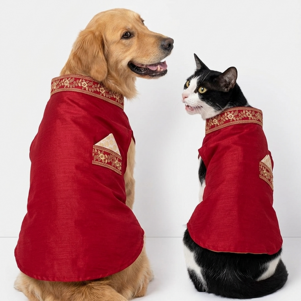 Skatrs Ethnic Sherwani for Dogs and Cats (Maroon)