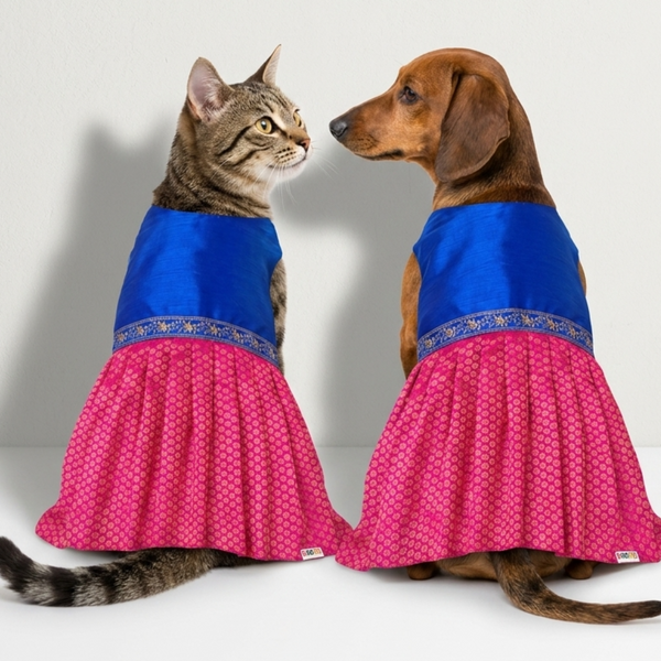 Skatrs Ethnic Lehenga Dress for Dogs and Cats (Royal Pink & Blue)