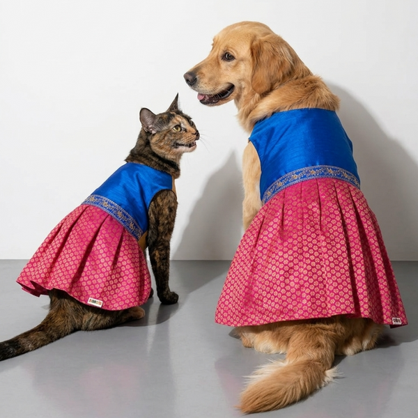 Skatrs Ethnic Lehenga Dress for Dogs and Cats (Royal Pink & Blue)