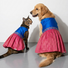 Skatrs Ethnic Lehenga Dress for Dogs and Cats (Royal Pink & Blue) Both-Clothing & Accessories Skatrs