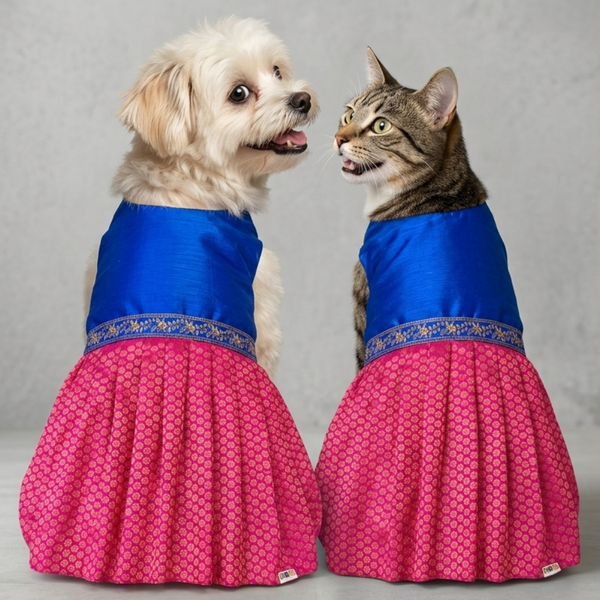 Skatrs Ethnic Lehenga Dress for Dogs and Cats (Royal Pink & Blue)
