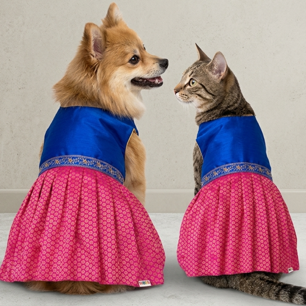 Skatrs Ethnic Lehenga Dress for Dogs and Cats (Royal Pink & Blue)
