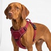 Skatrs Fully Padded Reflective Harness for Dogs & Cats (Maroon) Both-Collar, Leashes, harnesses Skatrs