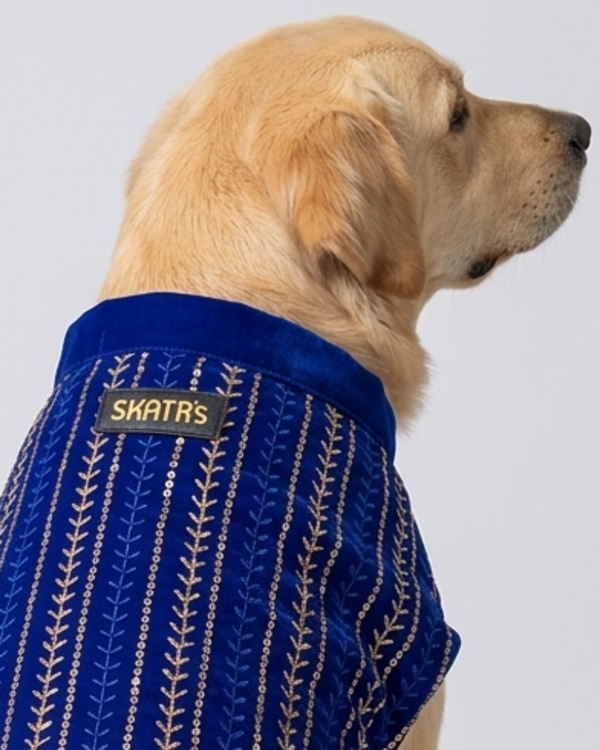 Skatrs Maharaja Handcrafted Sherwani for Dogs and Cats (Sapphire Blue)