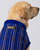 Skatrs Maharaja Handcrafted Sherwani for Dogs and Cats (Sapphire Blue) Both-Clothing & Accessories Skatrs