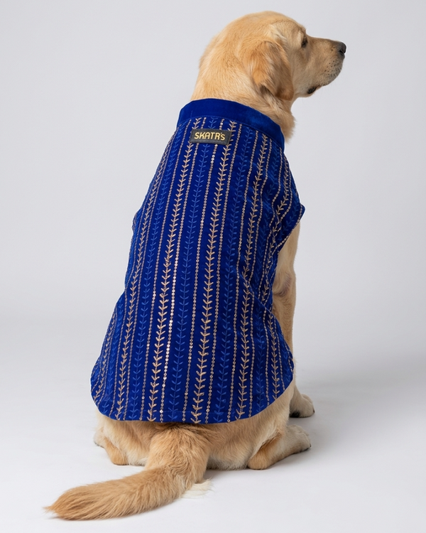 Skatrs Maharaja Handcrafted Sherwani for Dogs and Cats (Sapphire Blue)