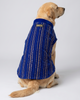 Skatrs Maharaja Handcrafted Sherwani for Dogs and Cats (Sapphire Blue) Both-Clothing & Accessories Skatrs