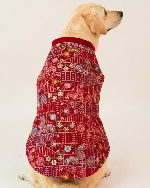 Skatrs Maharaja Handcrafted Sherwani for Dogs and Cats (Crimson Red)