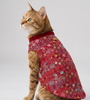 Skatrs Maharaja Handcrafted Sherwani for Dogs and Cats (Crimson Red) Both-Clothing & Accessories Skatrs