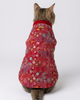 Skatrs Maharaja Handcrafted Sherwani for Dogs and Cats (Crimson Red) Both-Clothing & Accessories Skatrs