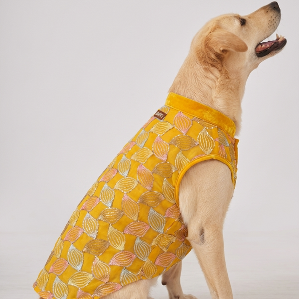 Skatrs Maharaja Handcrafted Sherwani for Dogs and Cats (Sunshine Gold)