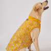 Skatrs Maharaja Handcrafted Sherwani for Dogs and Cats (Sunshine Gold) Both-Clothing & Accessories Skatrs
