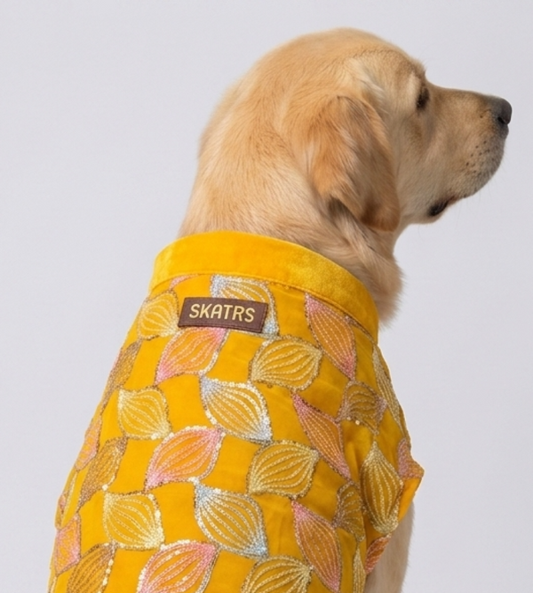 Skatrs Maharaja Handcrafted Sherwani for Dogs and Cats (Sunshine Gold)