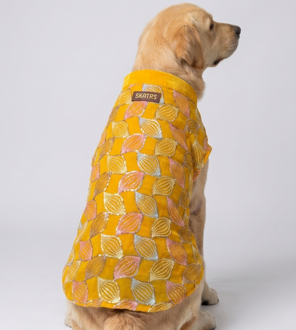 Skatrs Maharaja Handcrafted Sherwani for Dogs and Cats (Sunshine Gold)