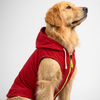 Skatrs Breezy Hoodies with Pockets for Dog and Cats (Red) Both-Clothing & Accessories Skatrs