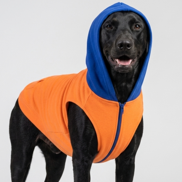 Skatrs Sunset Splash In-Style Hoodie For Dogs and Cats (Orange & Blue)