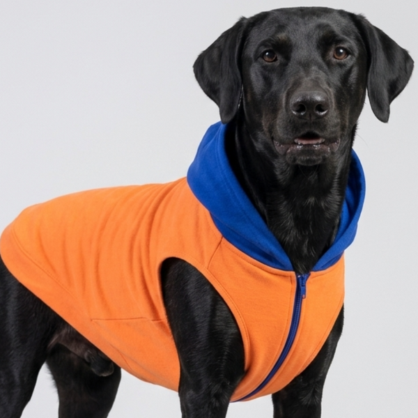 Skatrs Sunset Splash In-Style Hoodie For Dogs and Cats (Orange & Blue)