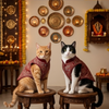 Skatrs Maharaja Handcrafted Sherwani for Dogs and Cats (Crimson Red) Both-Clothing & Accessories Skatrs