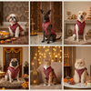 Skatrs Maharaja Handcrafted Sherwani for Dogs and Cats (Crimson Red) Both-Clothing & Accessories Skatrs