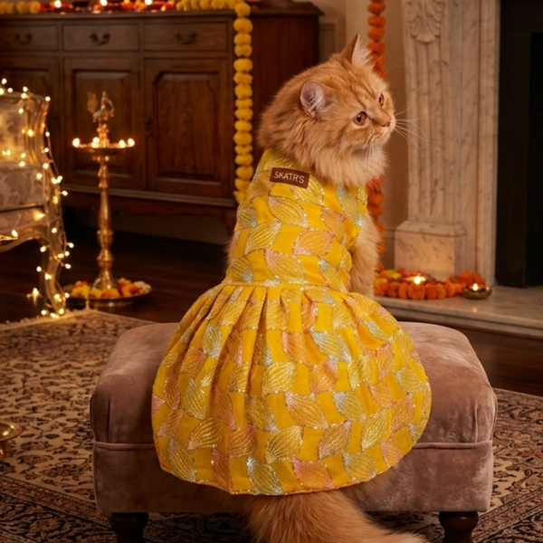 Skatrs Maharani Handcrafted Sherwani for Dogs and Cats (Sunshine Gold)