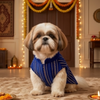 Skatrs Maharaja Handcrafted Sherwani for Dogs and Cats (Sapphire Blue) Both-Clothing & Accessories Skatrs
