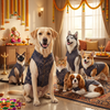 Skatrs Brocade Gold Printed Sherwani for Dogs and Cats (Blue) Both-Clothing & Accessories Skatrs