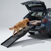 Skatrs Folding Anti Slip Coated Ramp for Dogs & Cats Both-Toys Skatrs
