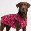 Skatrs Maharaja Handcrafted Sherwani for Dogs and Cats (Fuchsia) Both-Clothing & Accessories Skatrs
