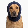 Skatrs Cold and Sound Protection Ear Muffs for Dogs and Cats (Blue) Both-Clothing & Accessories Skatrs
