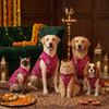 Skatrs Maharaja Handcrafted Sherwani for Dogs and Cats (Fuchsia) Both-Clothing & Accessories Skatrs