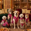 Skatrs Maharaja Handcrafted Sherwani for Dogs and Cats (Fuchsia) Both-Clothing & Accessories Skatrs