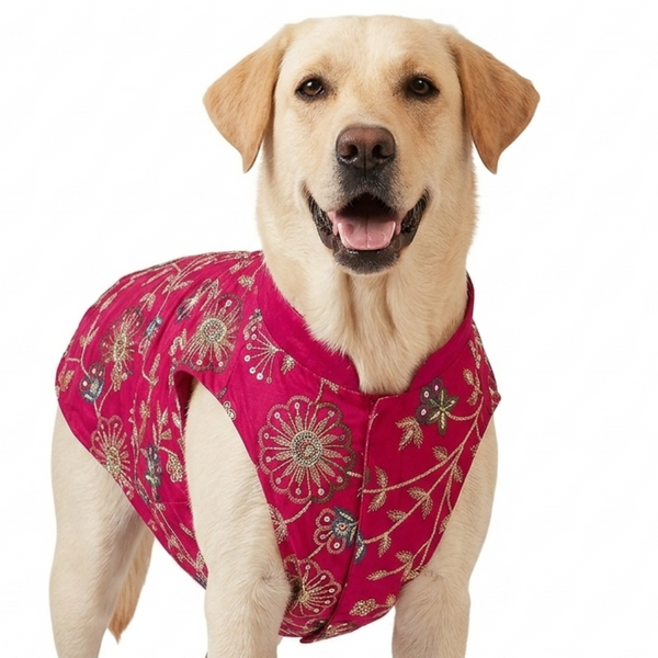 Skatrs Maharaja Handcrafted Sherwani for Dogs and Cats (Fuchsia)