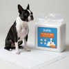 Skatrs Training Pads for Dogs and Cats Both-Health & Wellness Skatrs 45x60cm (50pcs)