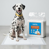 Skatrs Training Pads for Dogs and Cats Both-Health & Wellness Skatrs