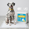 Skatrs Training Pads for Dogs and Cats Both-Health & Wellness Skatrs 60x90cm (25pcs)