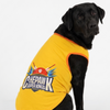 Skatrs Chepawk Superkings Cricket Jersey for Dogs and Cats (Yellow) Both-Clothing & Accessories Skatrs