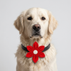Skatrs Flower Bow for Dogs and Cats (Red) Both-Clothing & Accessories Skatrs
