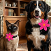 Skatrs Flower Bow for Dogs and Cats (Pink) Both-Clothing & Accessories Skatrs S