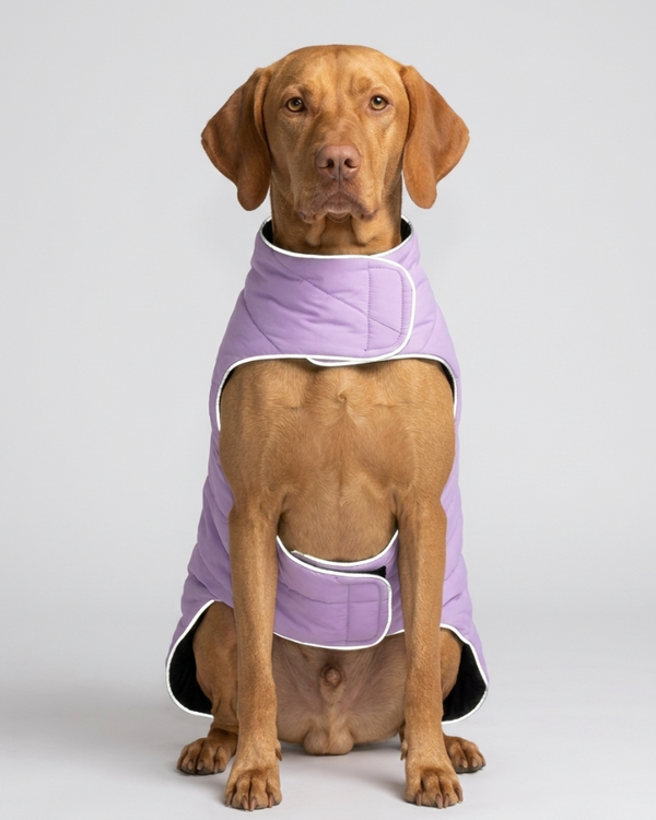 Skatrs Puffer Reversible Jacket for Dogs and Cats (Black/Lilac)