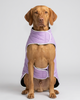 Skatrs Puffer Reversible Jacket for Dogs and Cats (Black/Lilac)