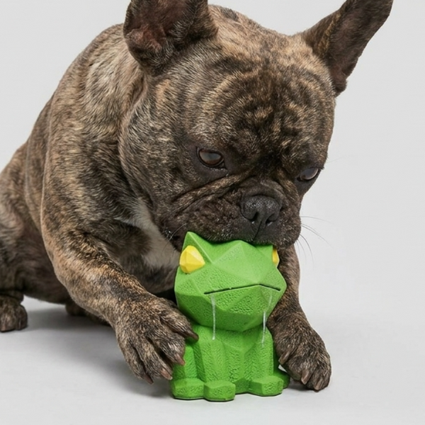 Skatrs Standing Frog Latex Chew Toy for Dogs (Green)