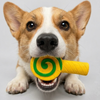 Skatrs Lollipop Latex Chew Toy for Dogs (Yellow)