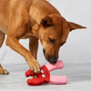Skatrs Pliers Latex Chew Toy for Dogs (Pink)