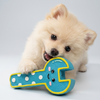 Skatrs Wrench Latex Chew Toy for Dogs (Blue)